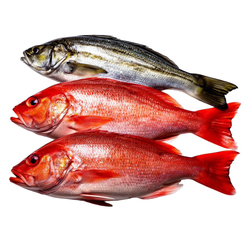 Exported Seafood