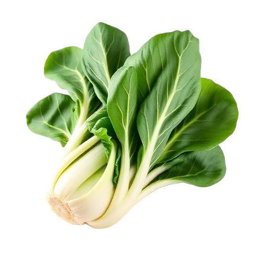 Bok Choy