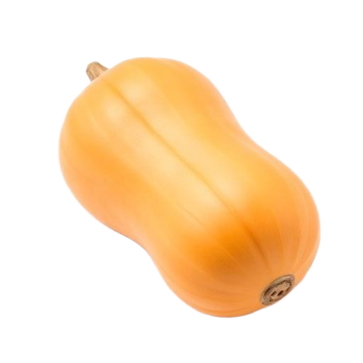Butternut Squash