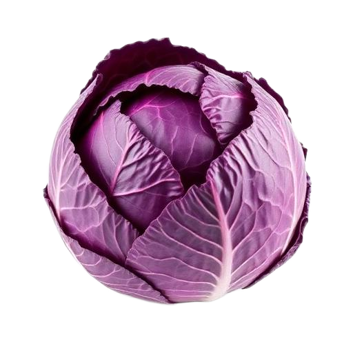 Purple Cabbage