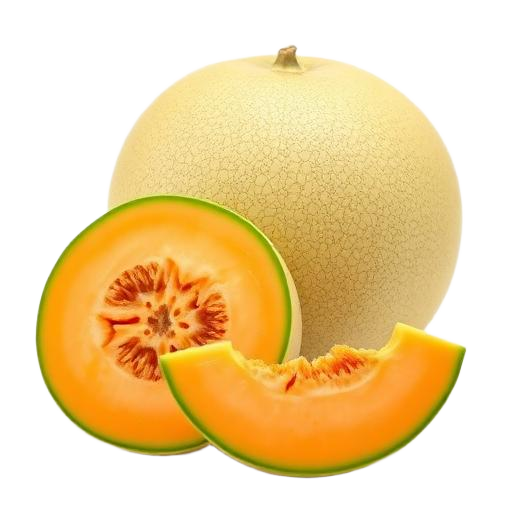 Cantaloupe