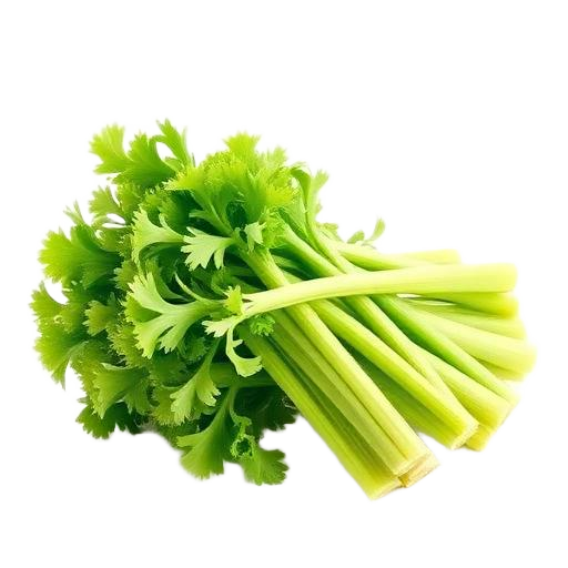 Celery