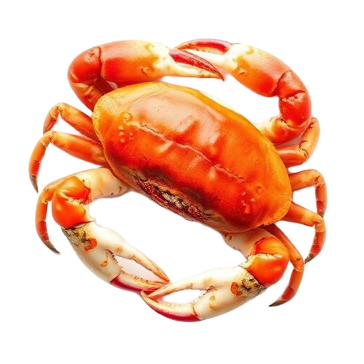 Crab