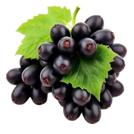 Black Grapes Seedless