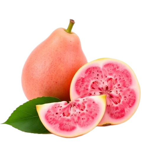 Guava