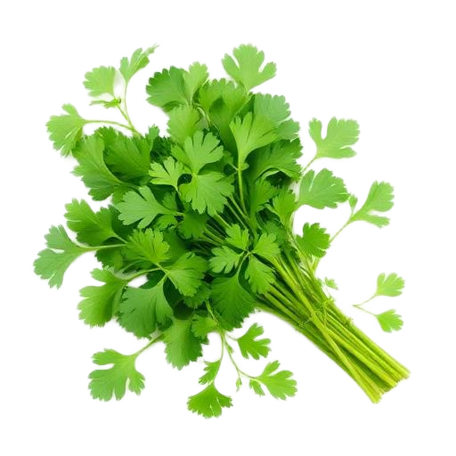 Parsley