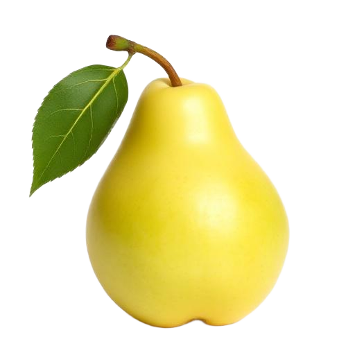 Avocado (Pear)